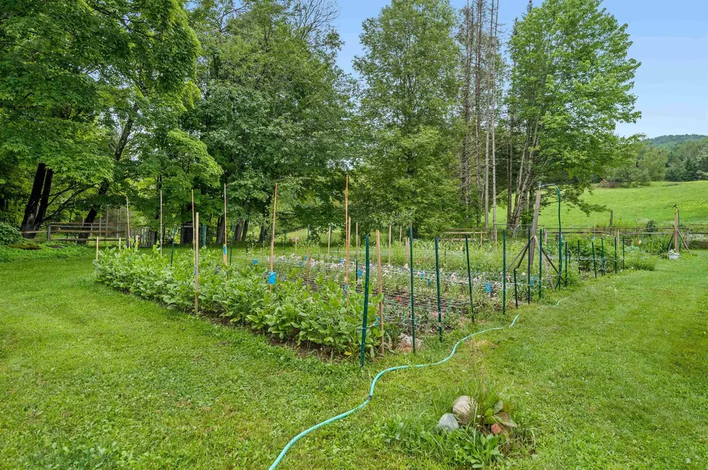 323 Calais Road Worcester VT 05682