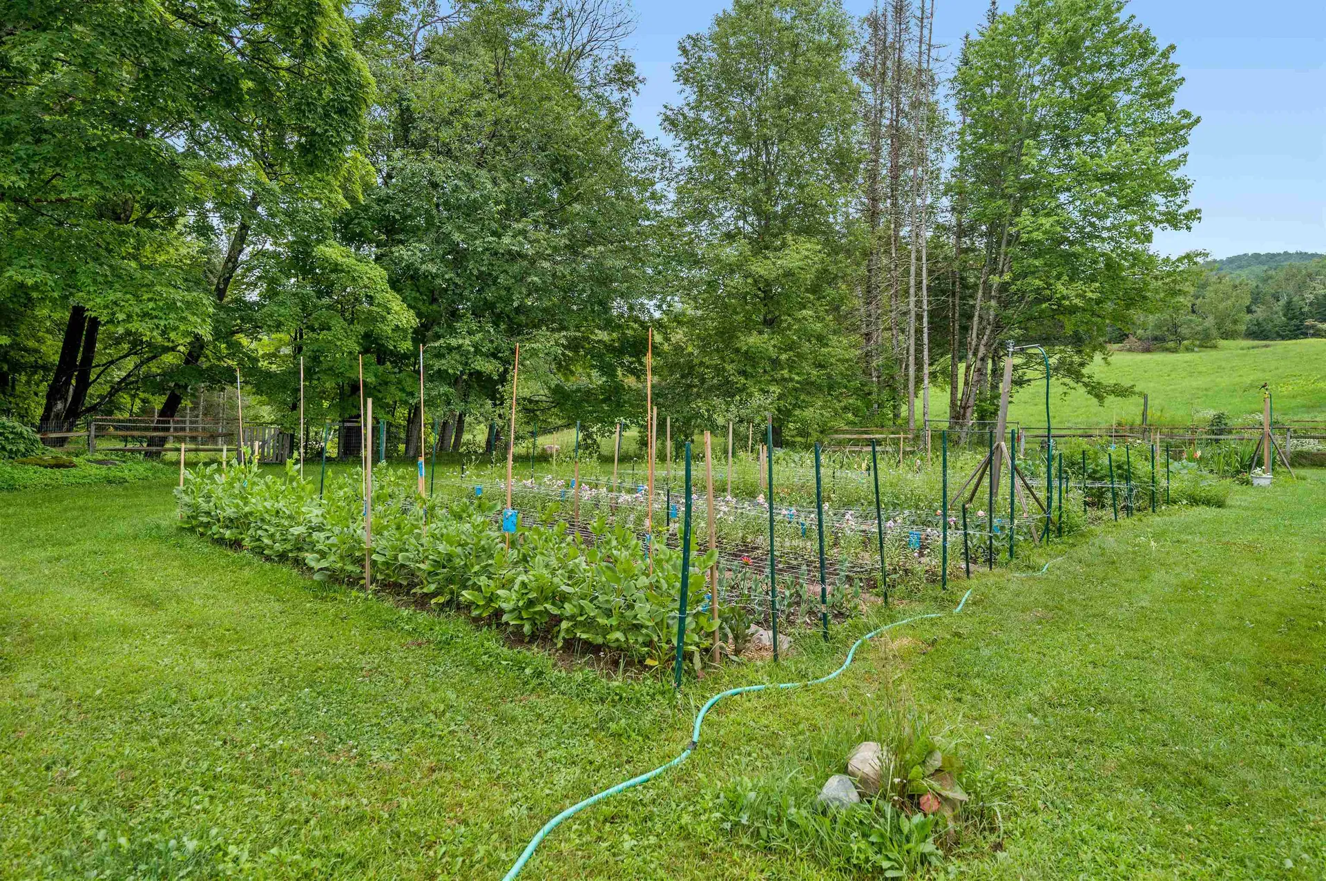 323 Calais Road Worcester VT 05682