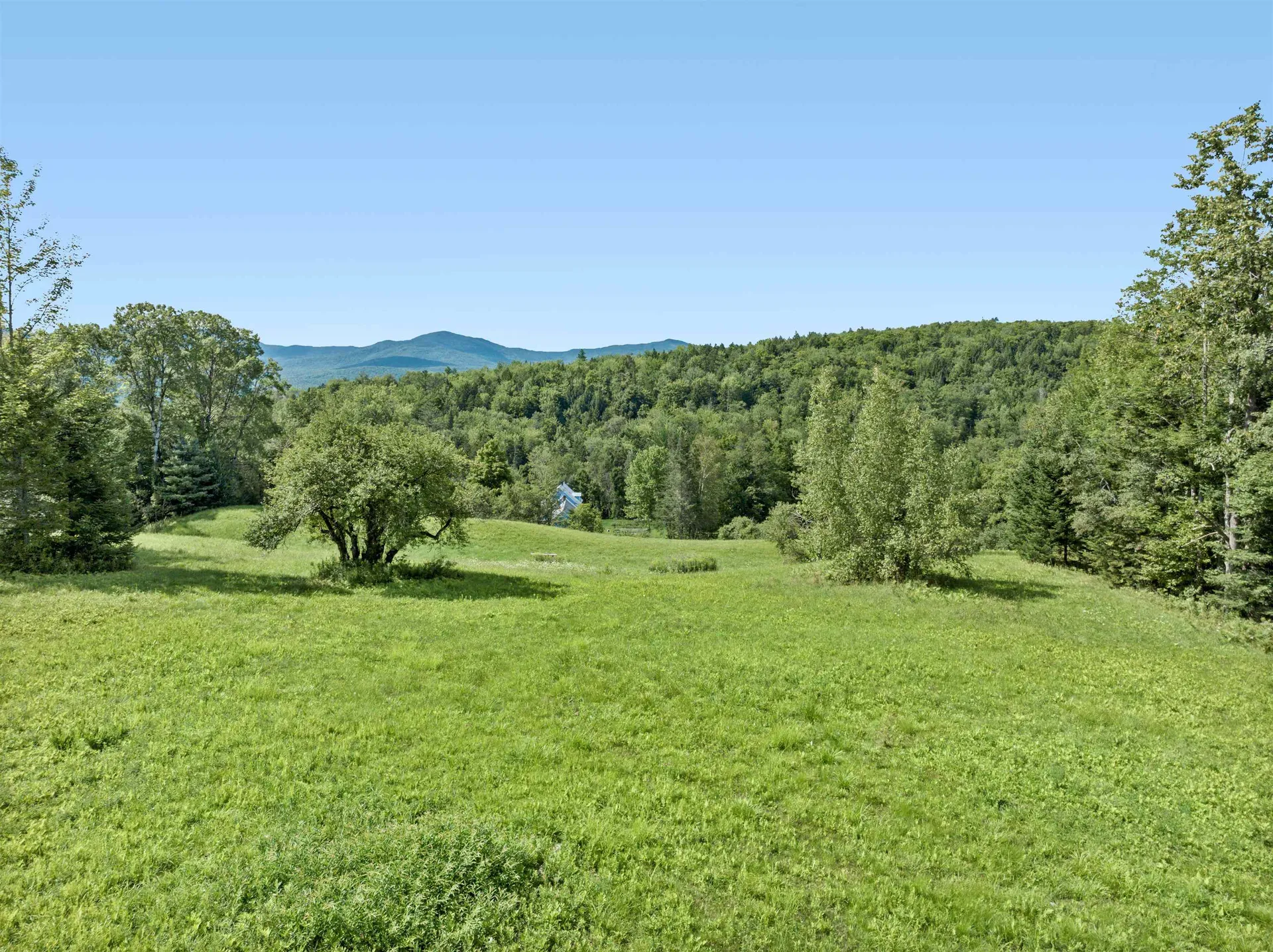 323 Calais Road Worcester VT 05682