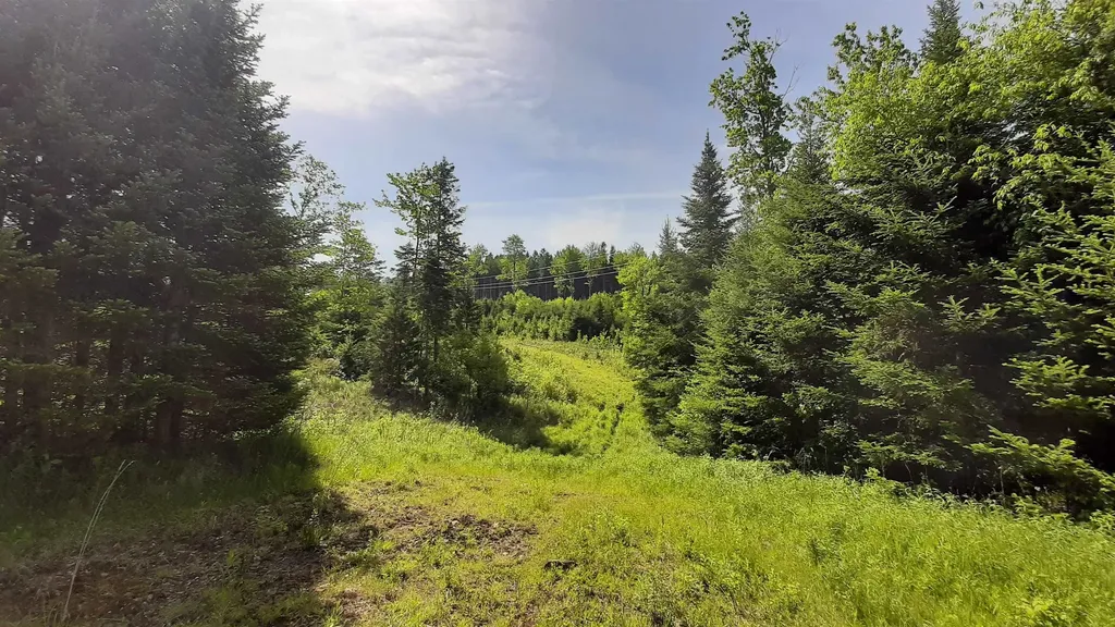 0 Summit Road Mount Holly VT 05758