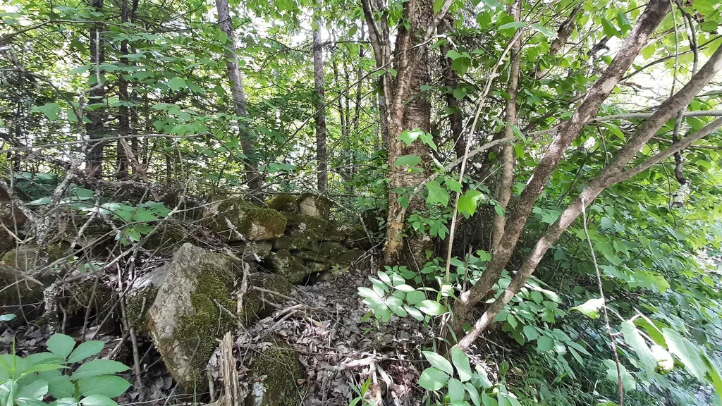 0 Summit Road Mount Holly VT 05758
