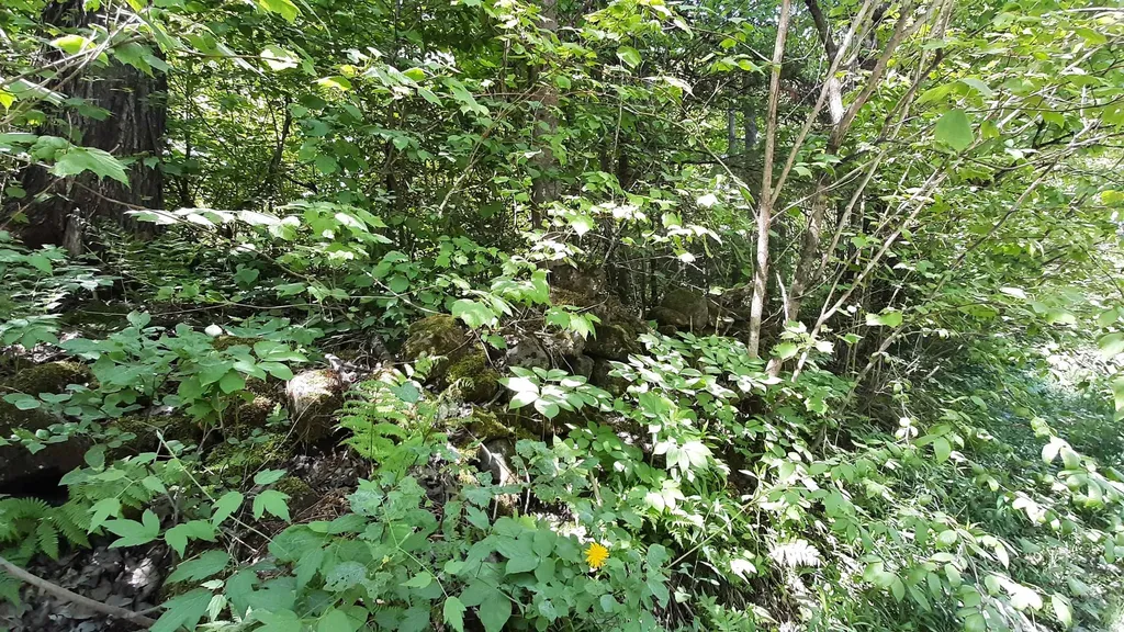 0 Summit Road Mount Holly VT 05758