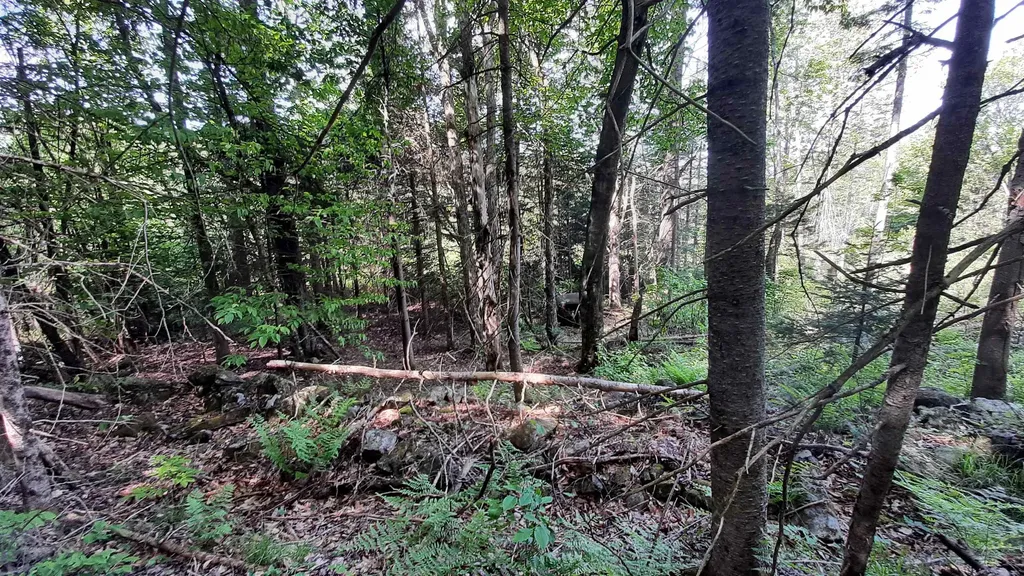 0 Summit Road Mount Holly VT 05758