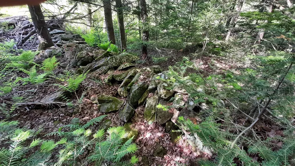 0 Summit Road Mount Holly VT 05758