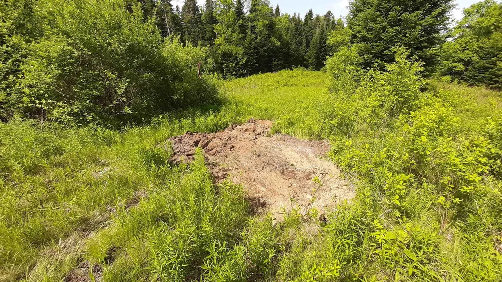 0 Summit Road Mount Holly VT 05758