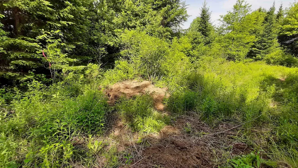 0 Summit Road Mount Holly VT 05758
