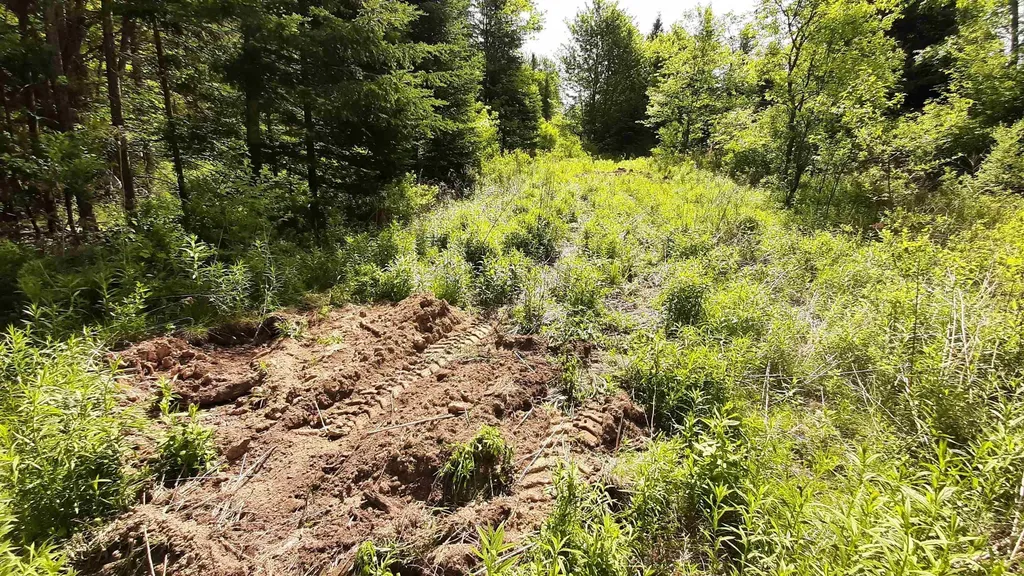 0 Summit Road Mount Holly VT 05758