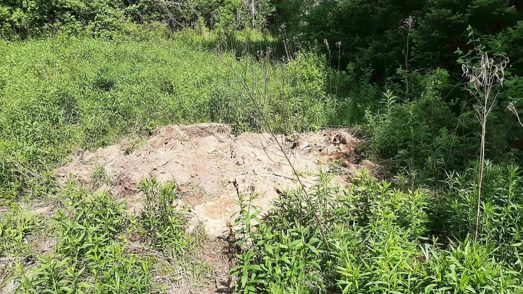 0 Summit Road Mount Holly VT 05758
