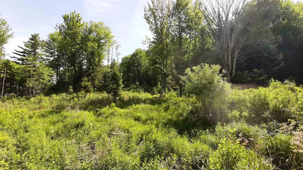 0 Summit Road Mount Holly VT 05758