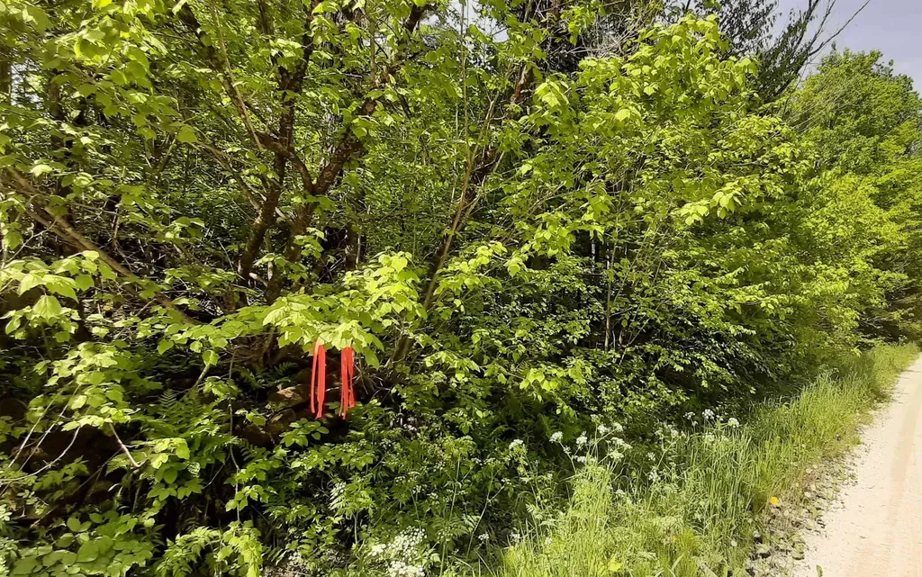 0 Summit Road Mount Holly VT 05758