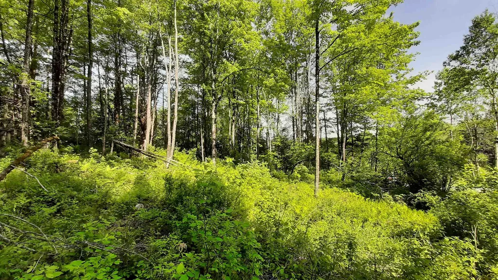 0 Summit Road Mount Holly VT 05758