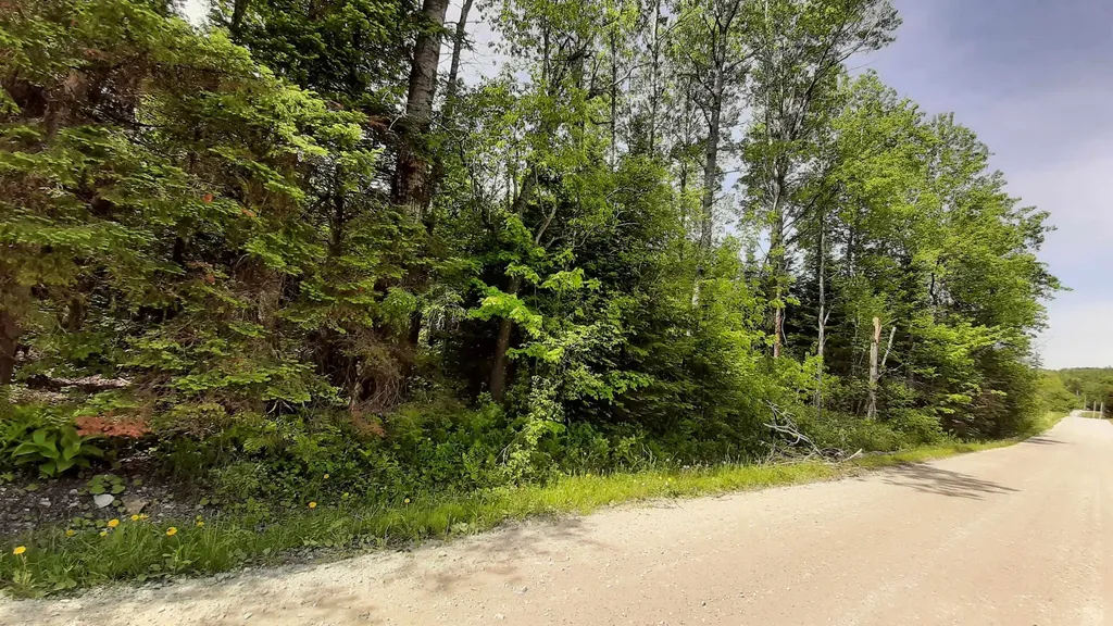 0 Summit Road Mount Holly VT 05758