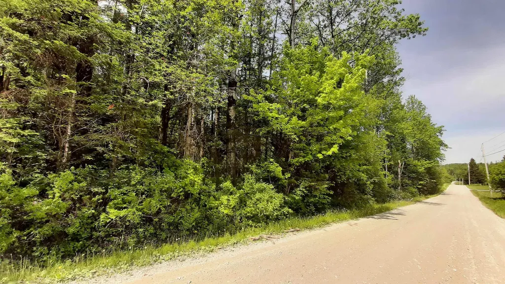 0 Summit Road Mount Holly VT 05758