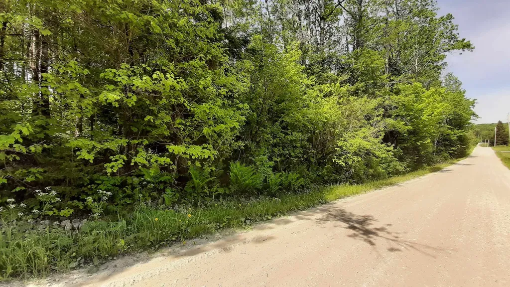 0 Summit Road Mount Holly VT 05758