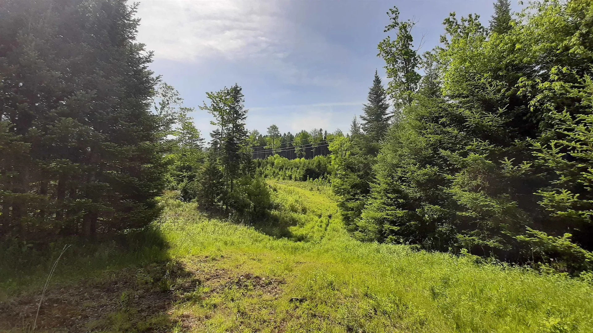 0 Summit Road Mount Holly VT 05758