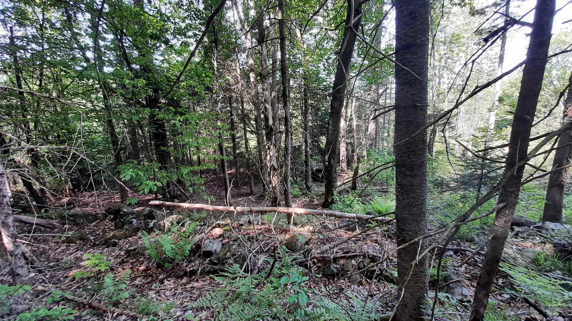 0 Summit Road Mount Holly VT 05758