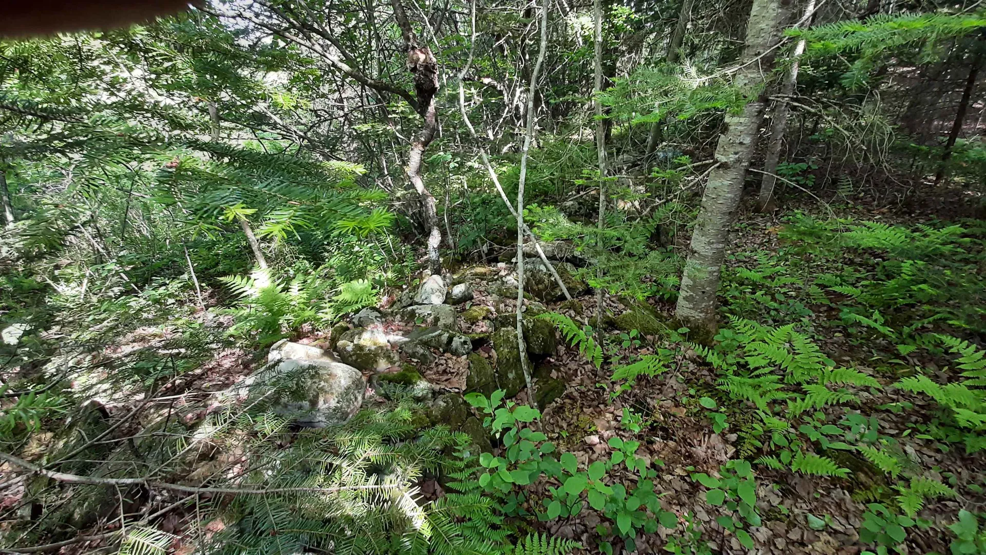 0 Summit Road Mount Holly VT 05758