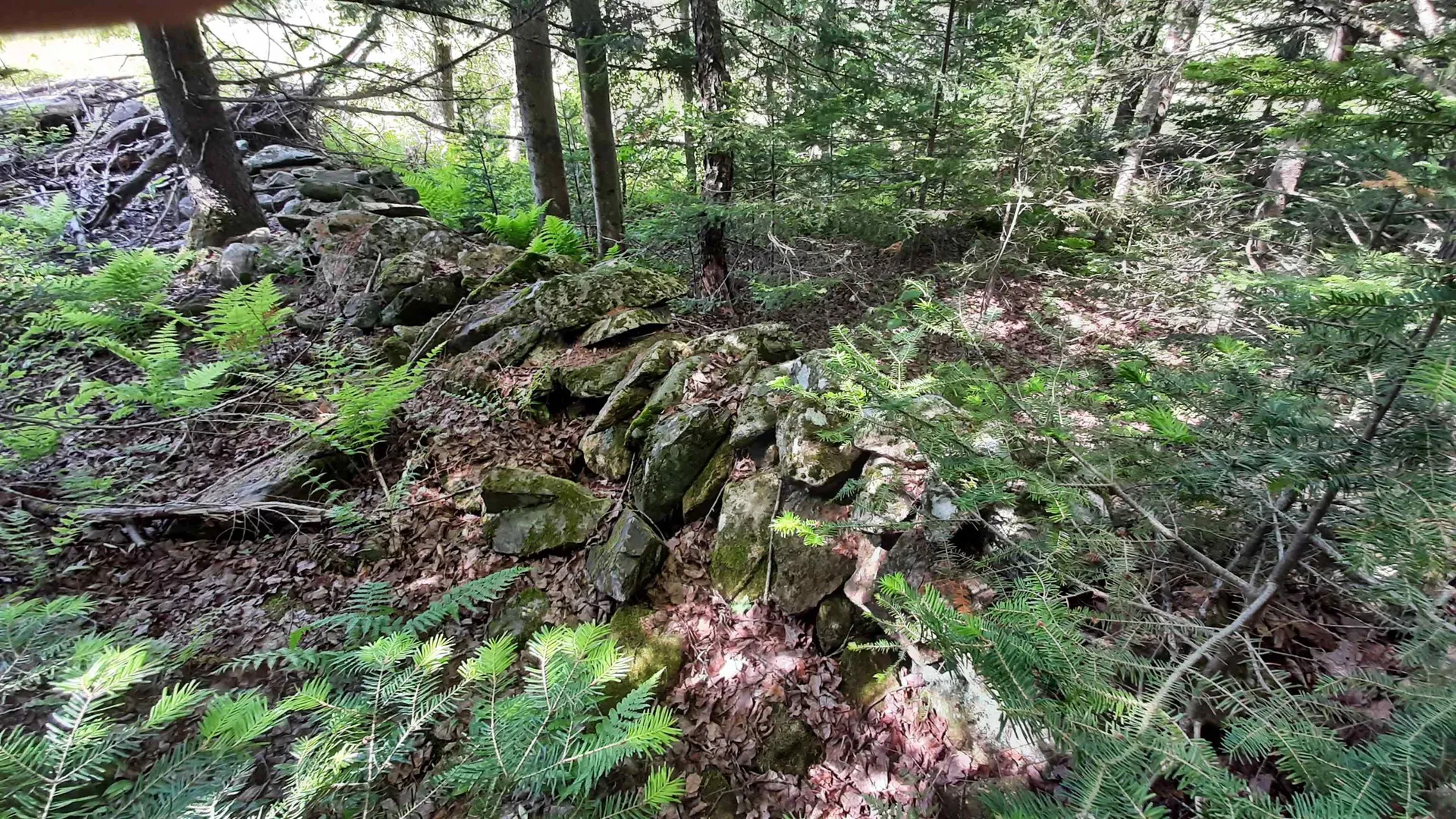 0 Summit Road Mount Holly VT 05758