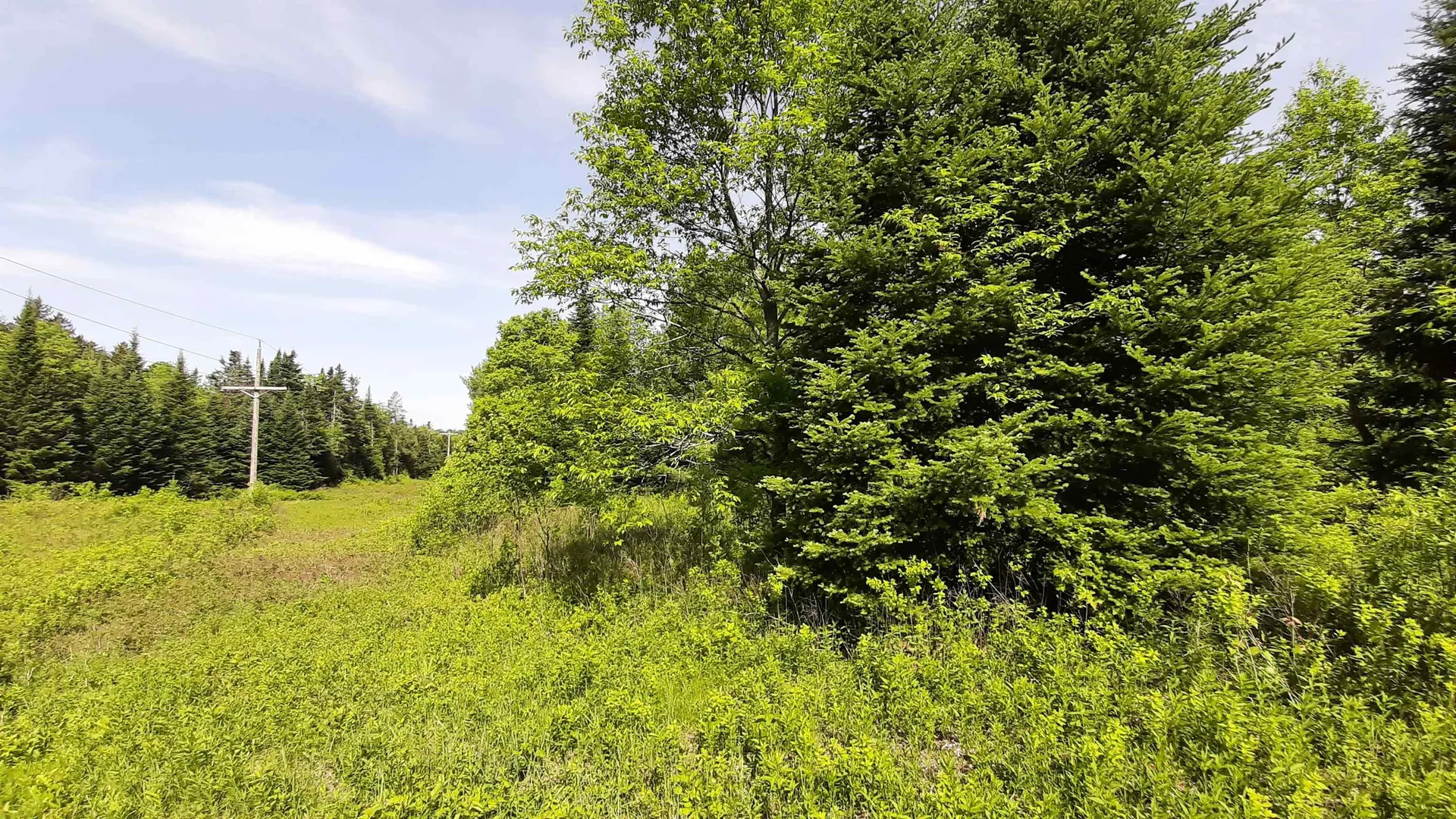 0 Summit Road Mount Holly VT 05758