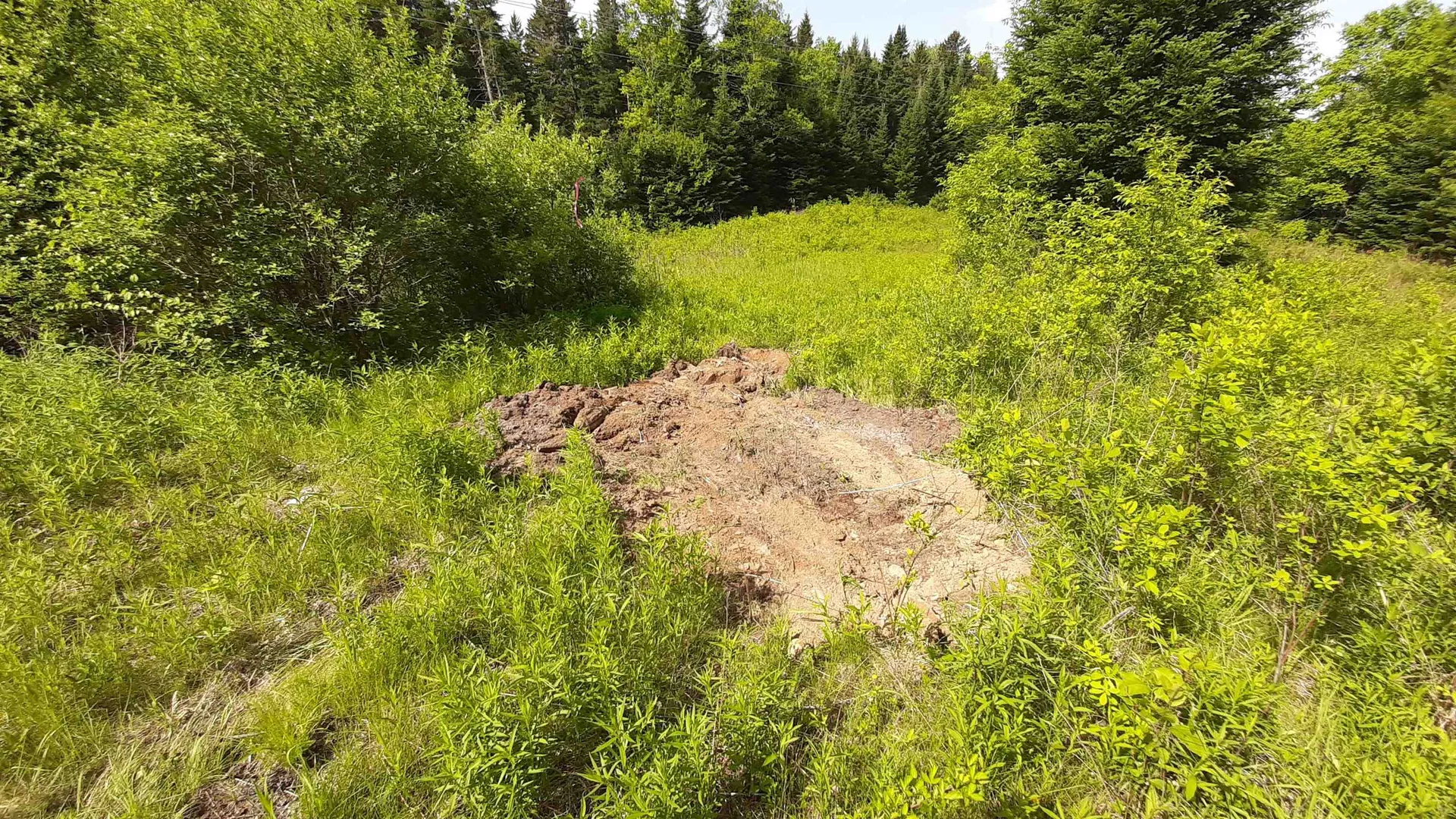 0 Summit Road Mount Holly VT 05758