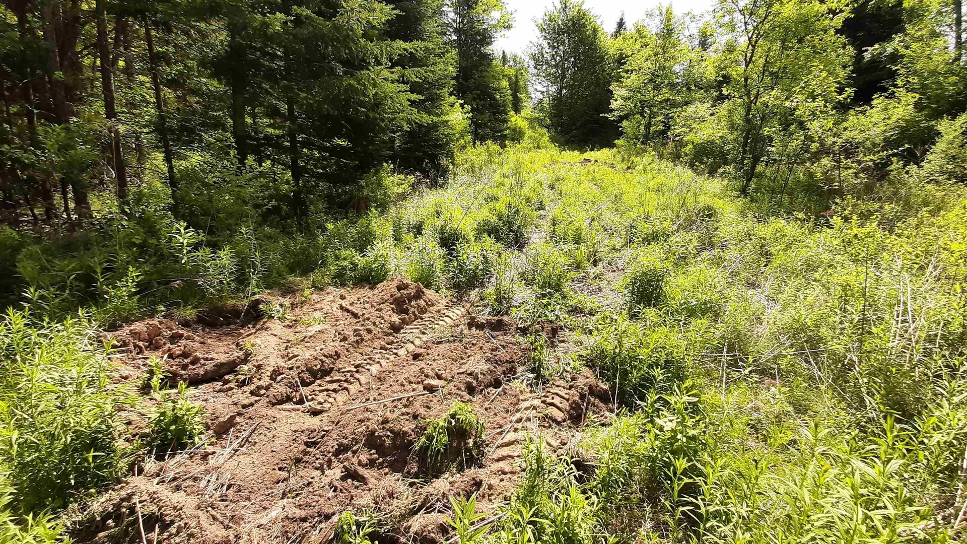 0 Summit Road Mount Holly VT 05758