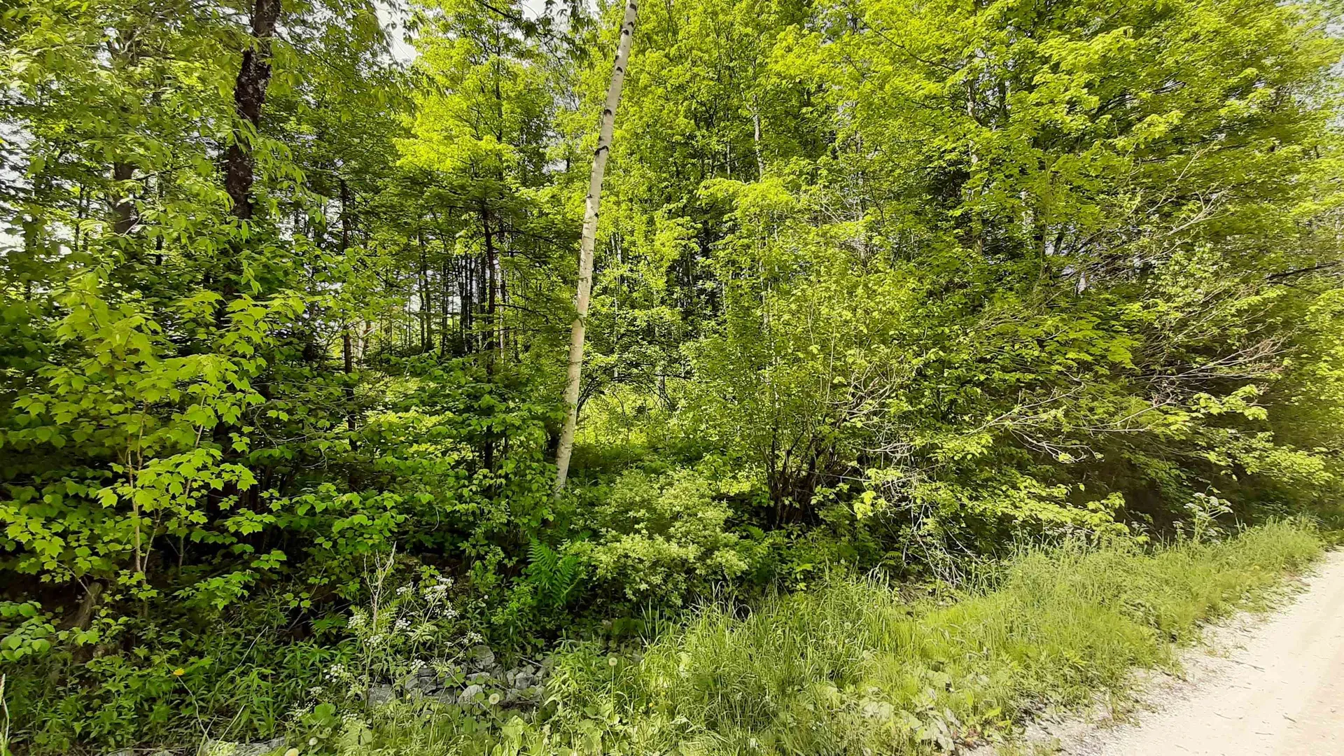 0 Summit Road Mount Holly VT 05758