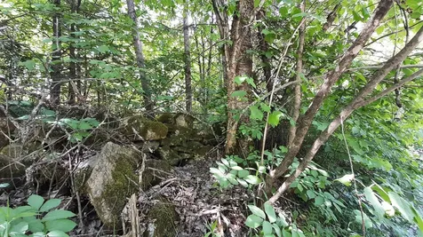 0 Summit Road Mount Holly VT 05758