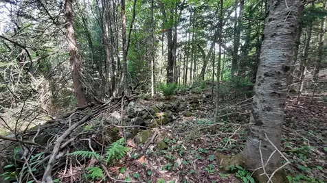 0 Summit Road Mount Holly VT 05758
