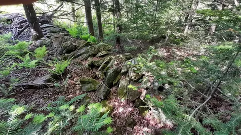0 Summit Road Mount Holly VT 05758