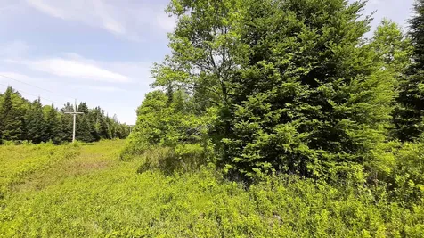 0 Summit Road Mount Holly VT 05758