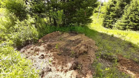 0 Summit Road Mount Holly VT 05758