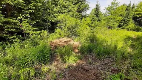 0 Summit Road Mount Holly VT 05758
