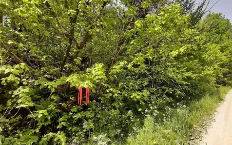 0 Summit Road Mount Holly VT 05758