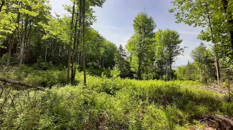 0 Summit Road Mount Holly VT 05758