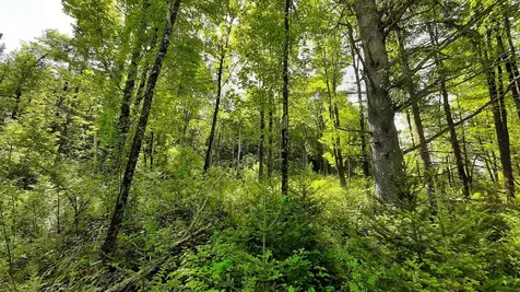 0 Summit Road Mount Holly VT 05758