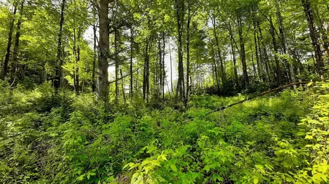0 Summit Road Mount Holly VT 05758