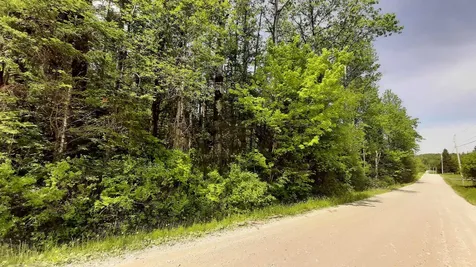 0 Summit Road Mount Holly VT 05758