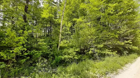 0 Summit Road Mount Holly VT 05758