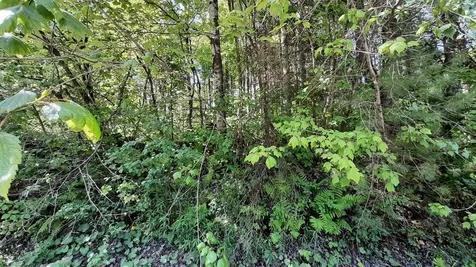 0 Summit Road Mount Holly VT 05758
