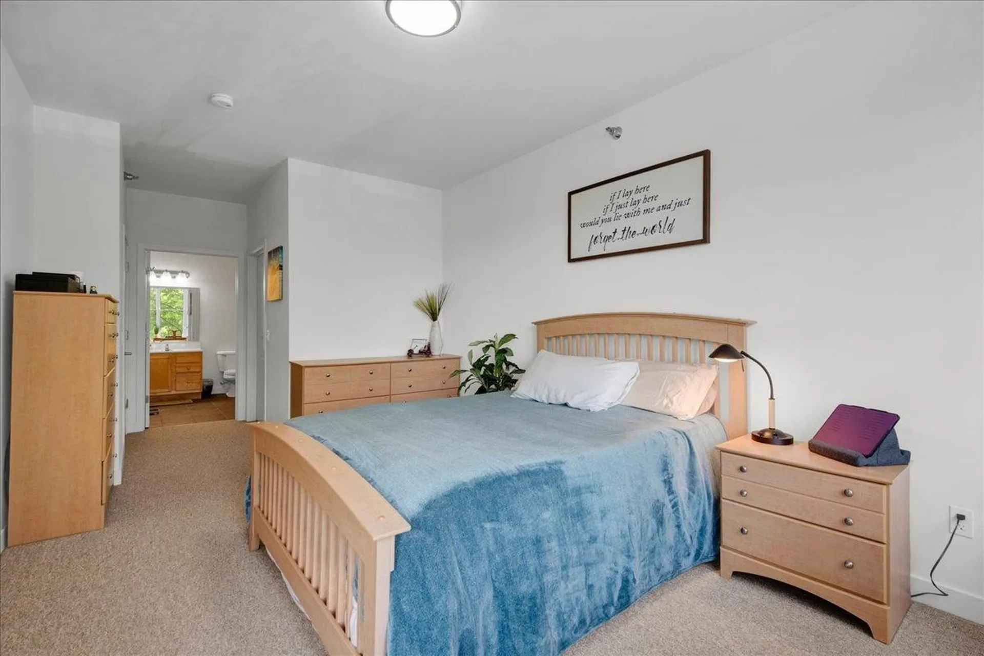 410 Farrell Street South Burlington VT 05403