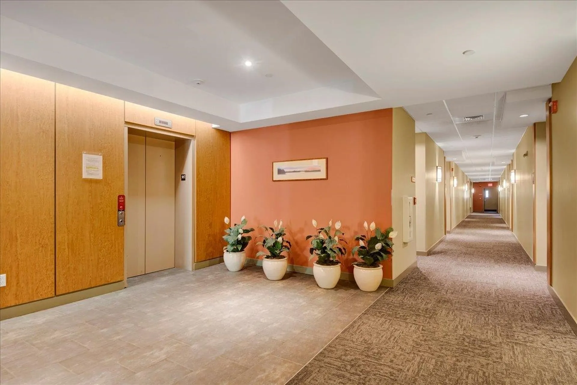 410 Farrell Street South Burlington VT 05403