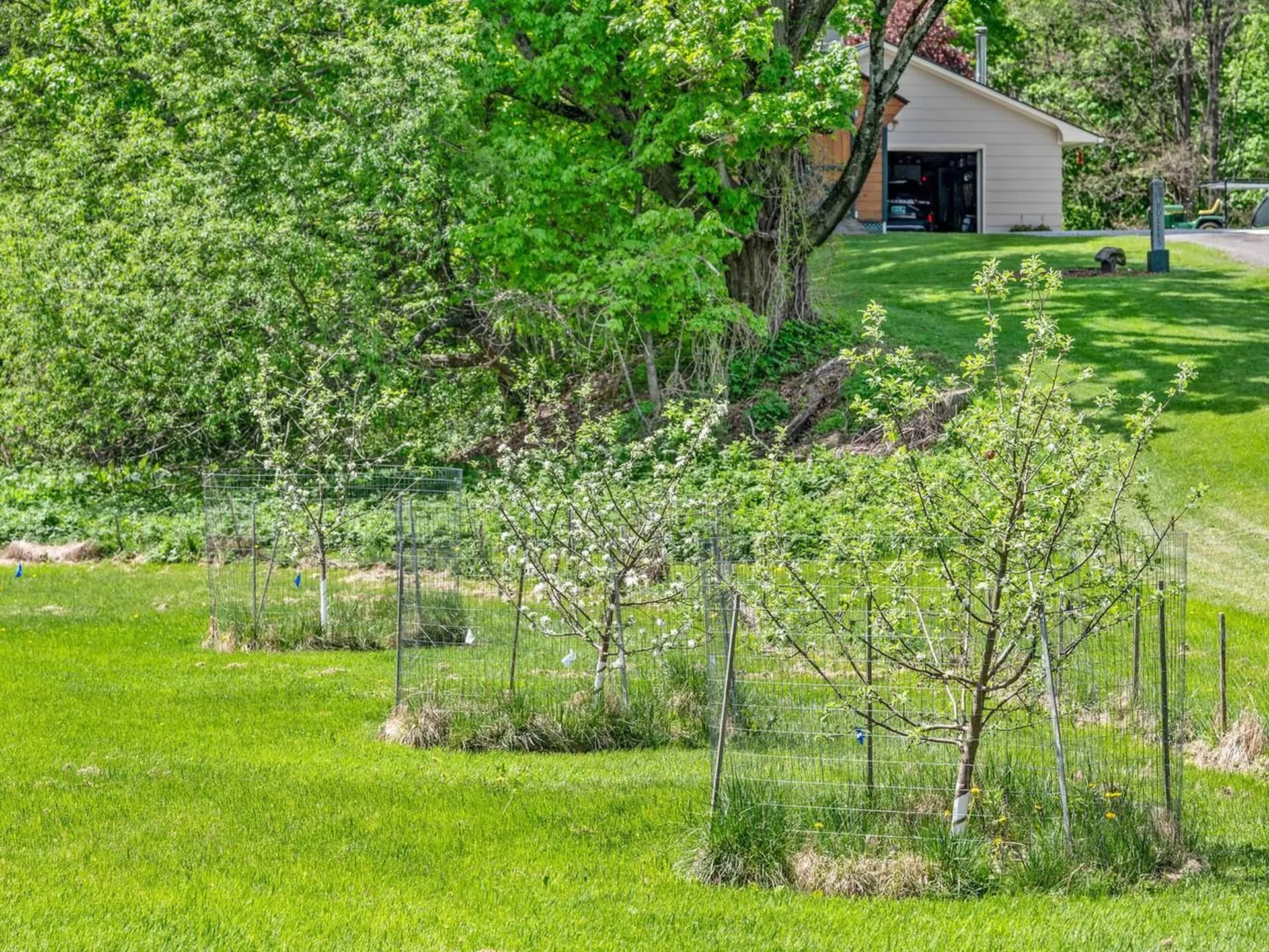 343 Sierra Lavin Road Barre Town VT 05641