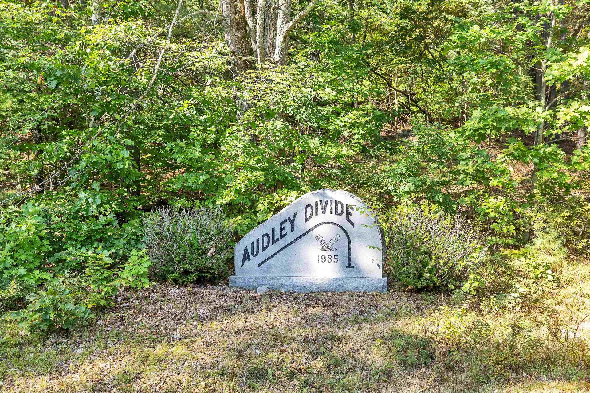 9 Audley Divide Bow NH 03304