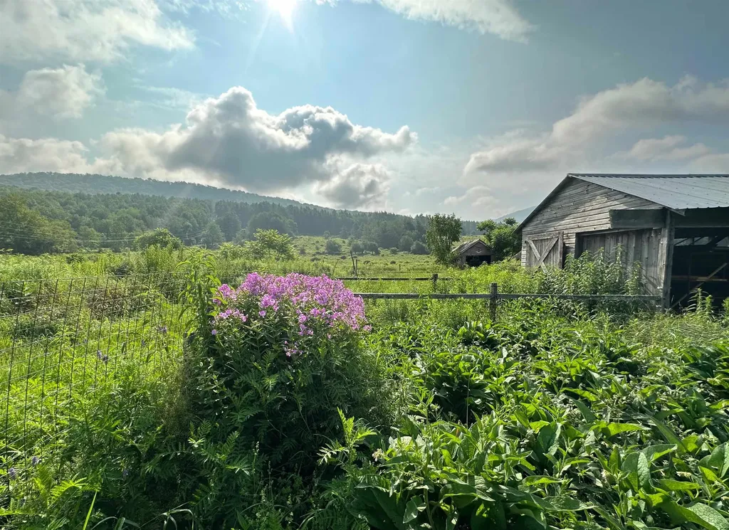 1037 Kelley Hill Road Pawlet VT 05761