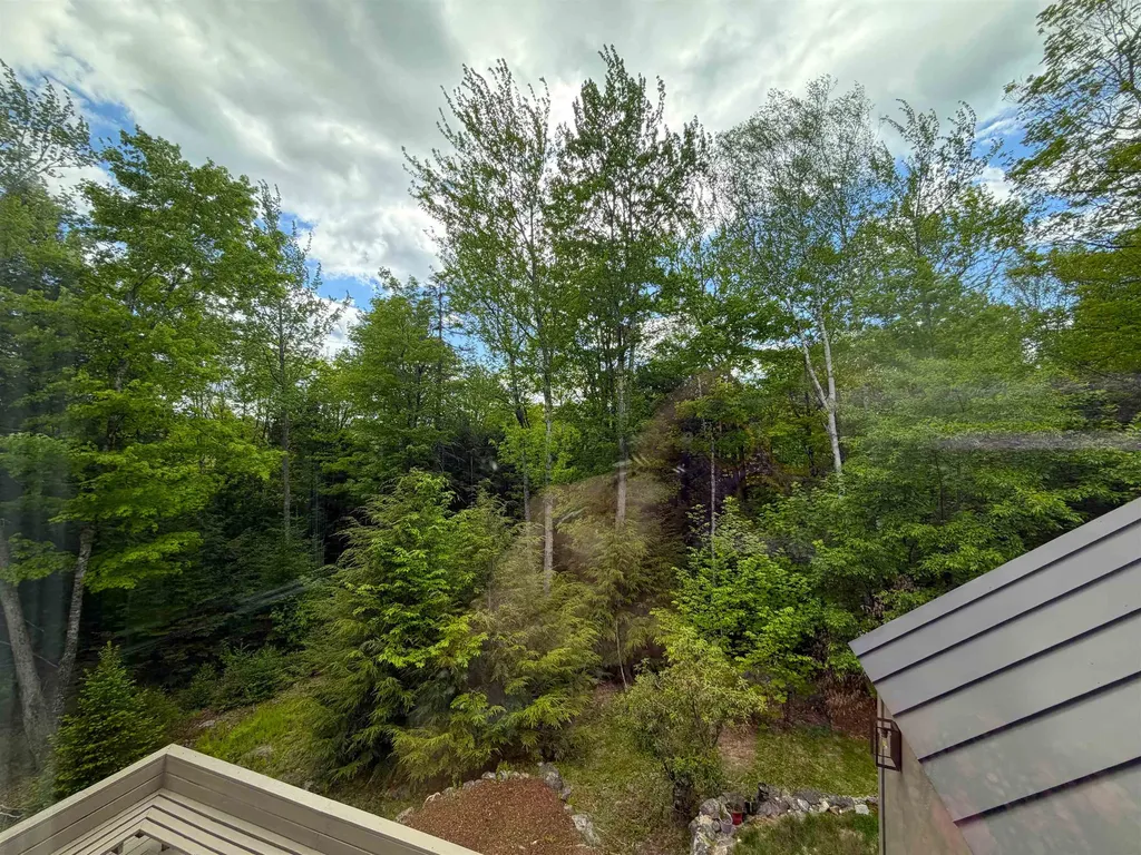 28 Wildwood Drive Grantham NH 03753