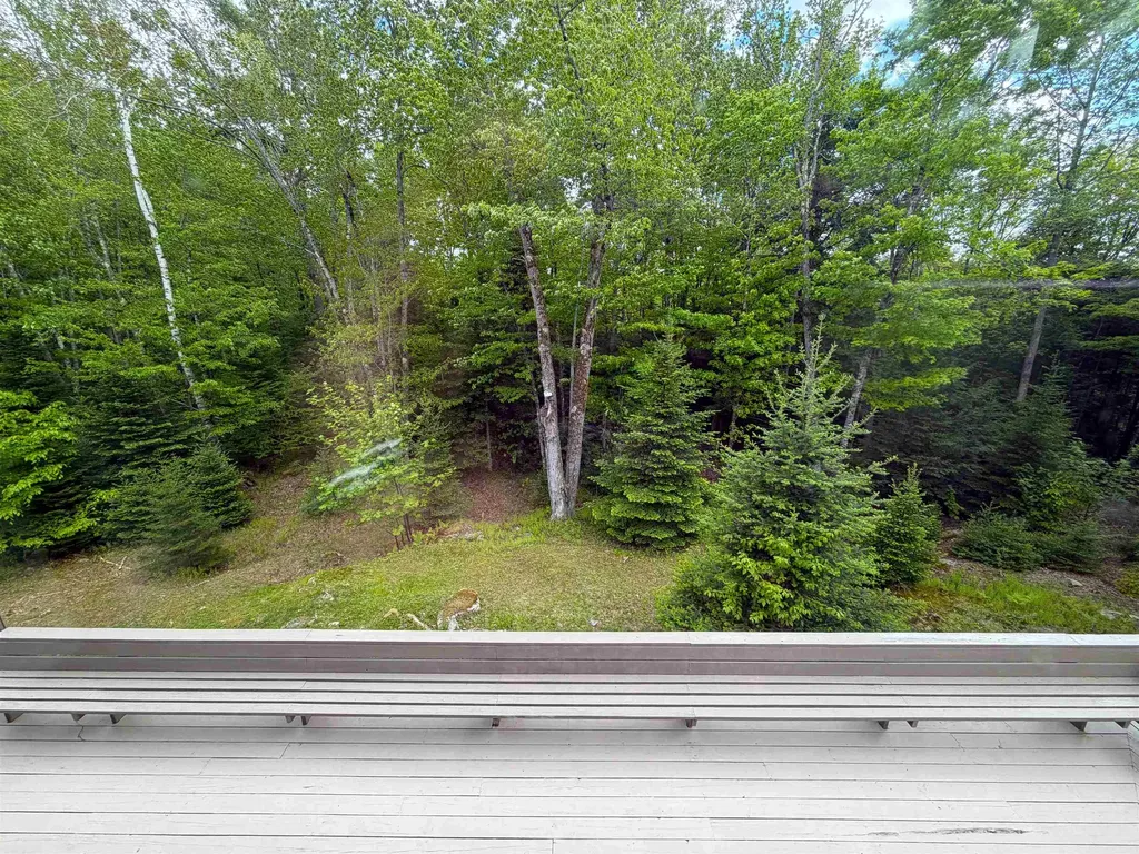 28 Wildwood Drive Grantham NH 03753