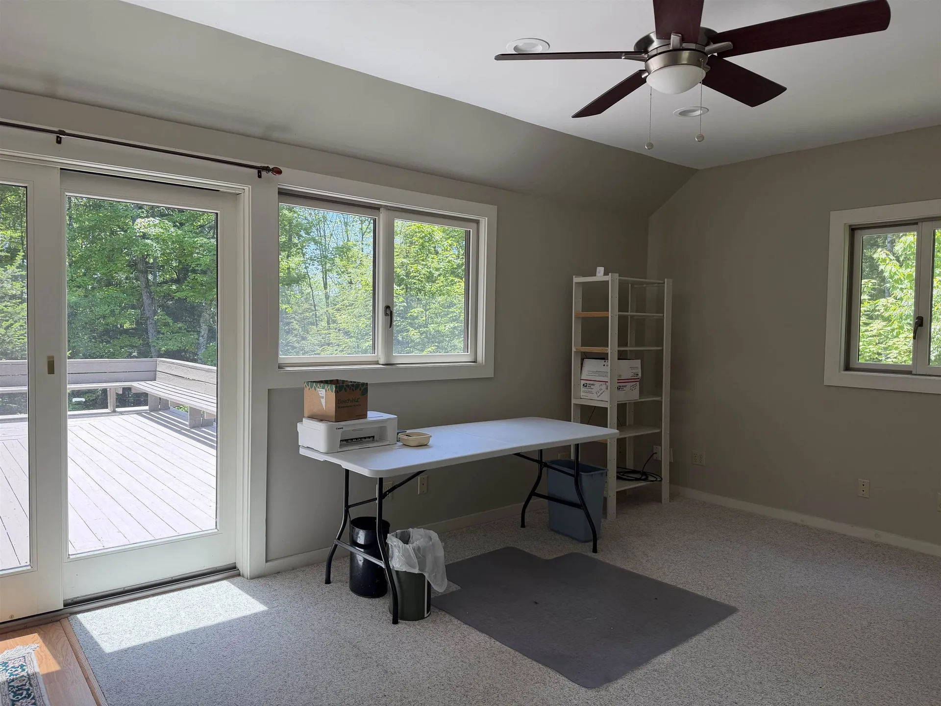 28 Wildwood Drive Grantham NH 03753