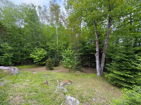 28 Wildwood Drive Grantham NH 03753