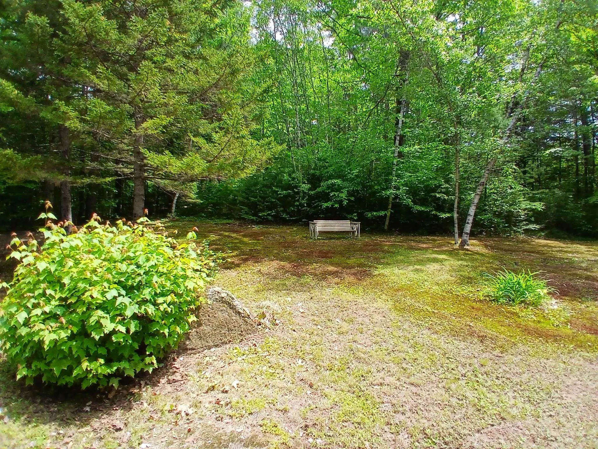 67 South Brook Circle Newbury NH 03255