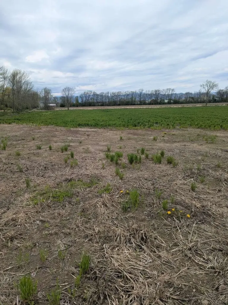 104 Old Stonehouse Road Addison VT 05491